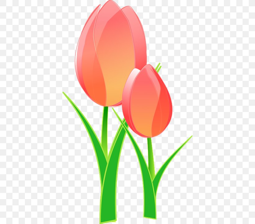Indira Gandhi Memorial Tulip Garden Clip Art Vector Graphics Openclipart, PNG, 420x720px, Watercolor, Cartoon, Flower, Frame, Heart Download Free