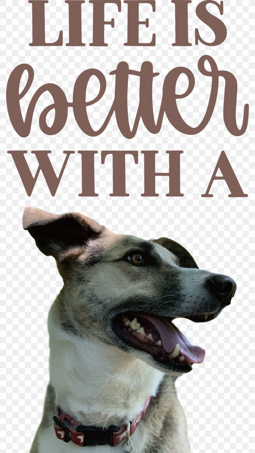 Life Better, PNG, 1694x3000px, Life, Better, Biology, Breed, Dog Download Free