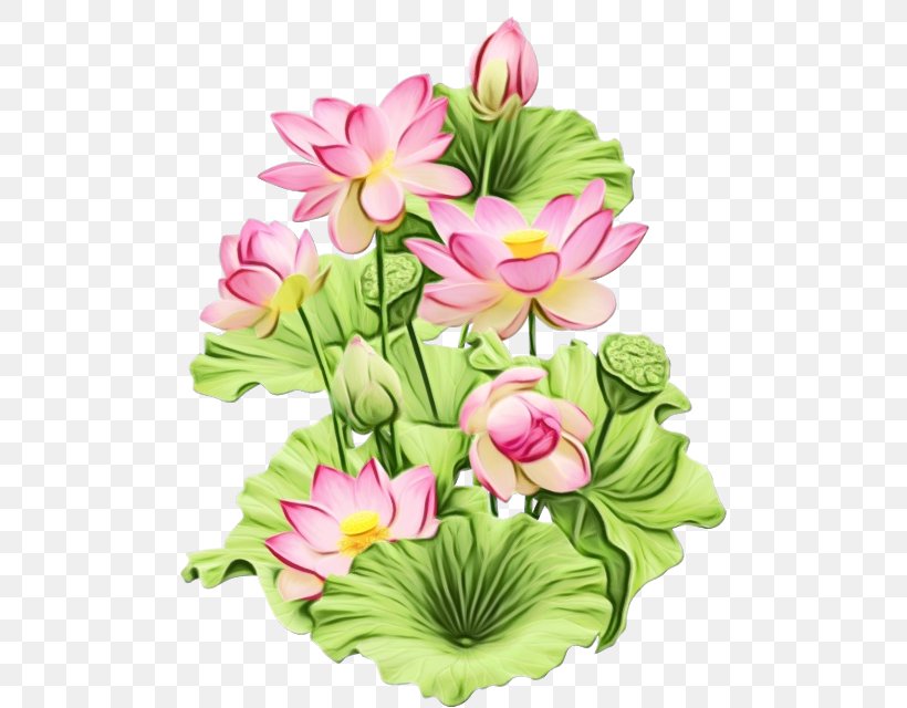 Water Paint Flowers, PNG, 494x640px, Watercolor, Anthurium, Aquatic Plant, Artificial Flower, Bouquet Download Free