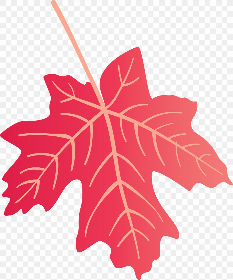 Autumn Leaf Colourful Foliage Colorful Leaves, PNG, 2496x3000px, Autumn Leaf, Biology, Colorful Leaf, Colorful Leaves, Colourful Foliage Download Free