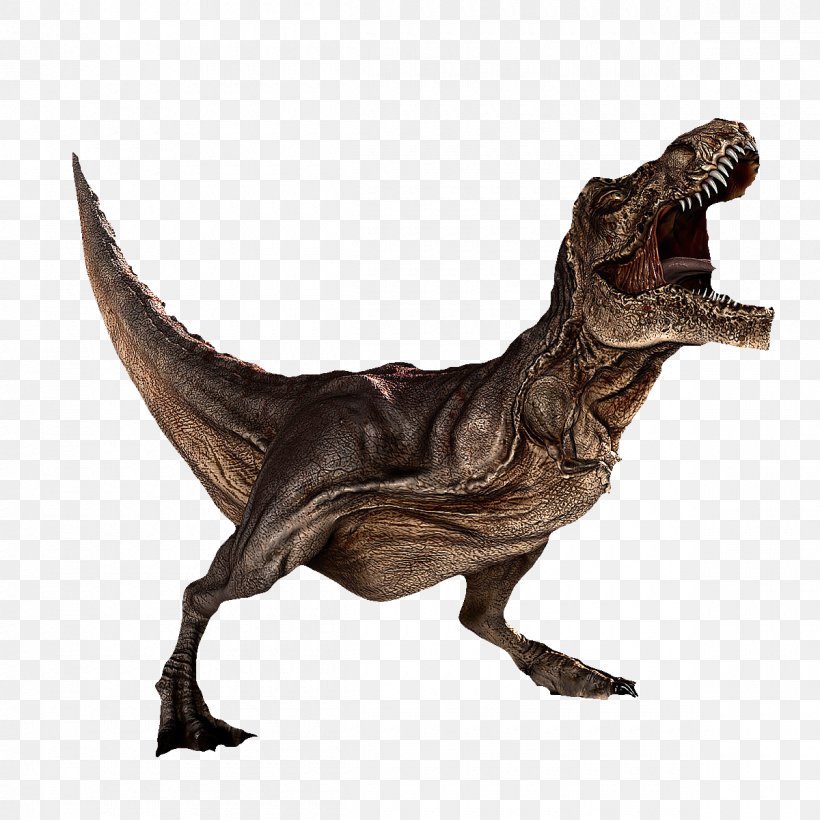 Dinosaur Tyrannosaurus Rex Carnotaurus, PNG, 1200x1200px, 3d Modeling, Dinosaur, Animal, Animation, Carnivore Download Free