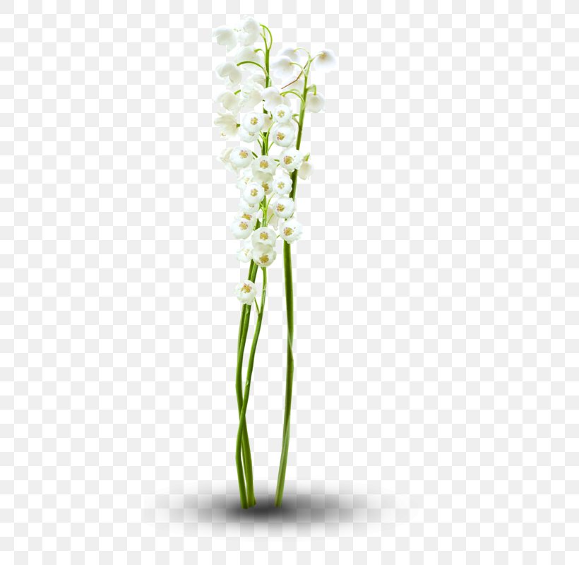 Floral Design Cut Flowers Moth Orchids Flowerpot Plant Stem, PNG, 411x800px, Floral Design, Cut Flowers, Flora, Floristry, Flower Download Free