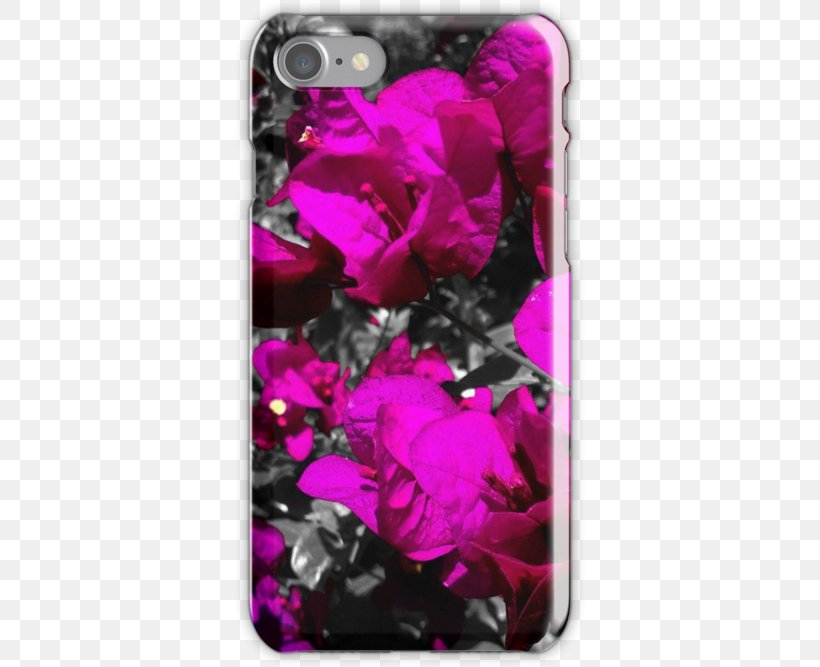 Pink M Mobile Phone Accessories Mobile Phones IPhone, PNG, 500x667px, Pink M, Flower, Iphone, Magenta, Mobile Phone Accessories Download Free