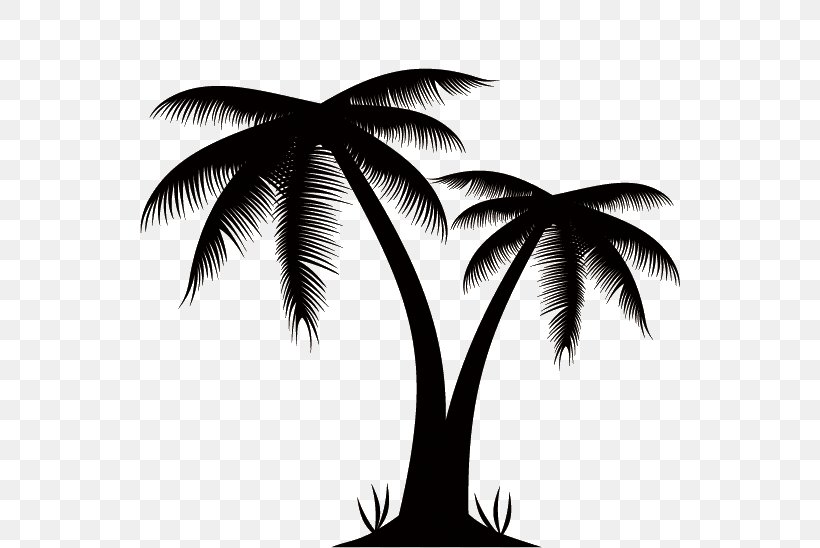 Arecaceae Euclidean Vector Stock Photography Clip Art, PNG, 548x548px, Arecaceae, African Oil Palm, Arecales, Black And White, Branch Download Free