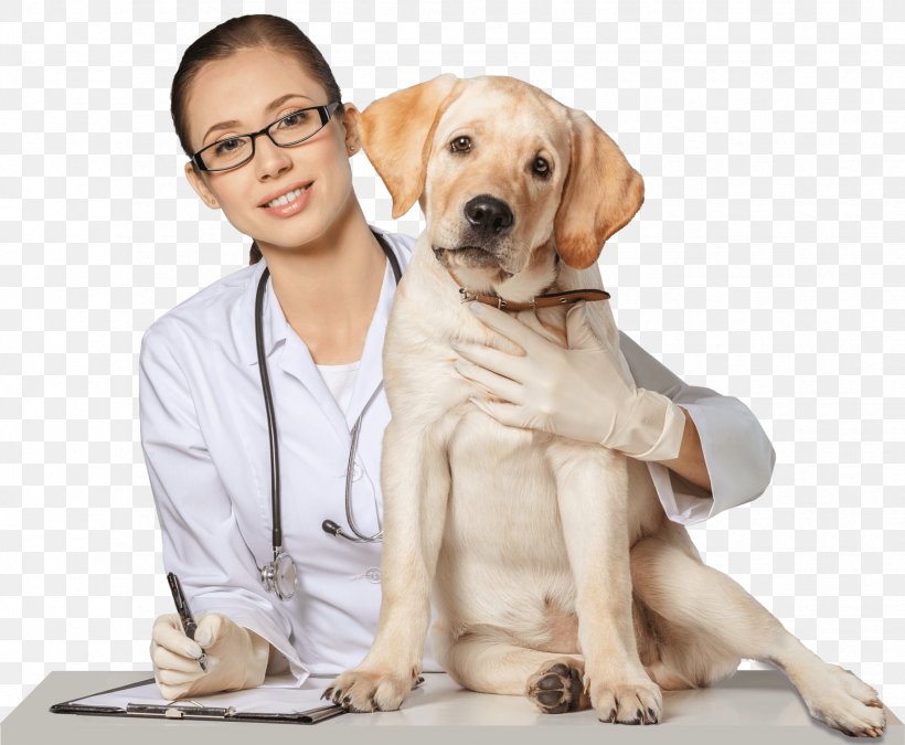 Dog Pet Sitting Cat Veterinarian, PNG, 1834x1511px, Dog, Canine Parvovirus, Carnivoran, Cat, Companion Dog Download Free