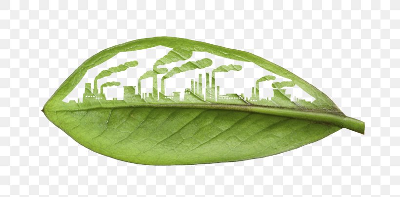 Environmentally Friendly Renewable Energy Natural Environment Business Sustainability, PNG, 725x404px, Environmentally Friendly, Advertising, Building, Business, Climate Change Download Free