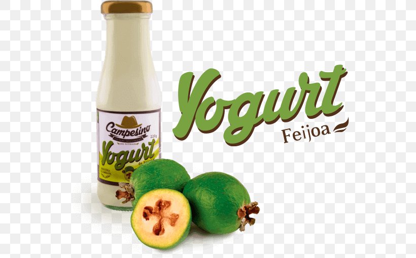 Flavor Yoghurt Food Dairy Products, PNG, 557x508px, Flavor, Dairy Products, Diet, Diet Food, Feijoa Download Free
