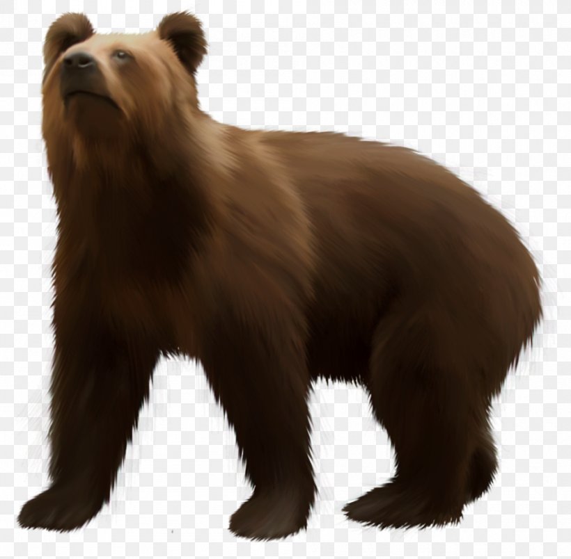 Grizzly Bear American Black Bear Brown Bear Clip Art, PNG, 950x932px, Grizzly Bear, American Black Bear, Animal, Bear, Brown Bear Download Free