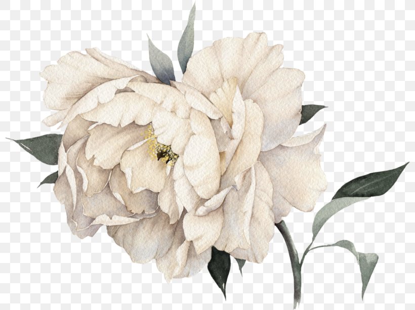 Bouquet Of Flowers Drawing, PNG, 800x613px, Watercolor Painting, Artificial Flower, Bouquet, Chinese Peony, Cut Flowers Download Free