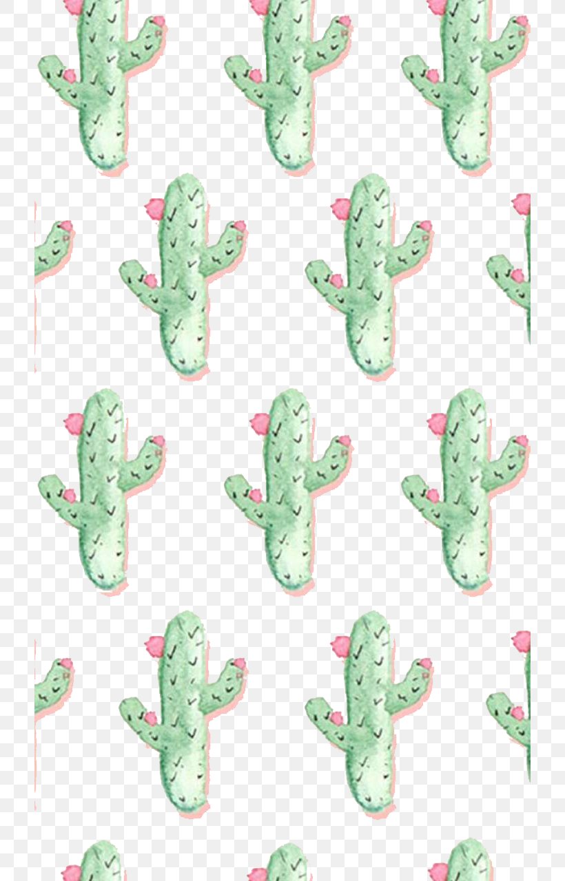 Cactaceae Barbary Fig Succulent Plant Wallpaper, PNG, 720x1280px, Cactaceae, Barbary Fig, Cactus, Caryophyllales, Drawing Download Free