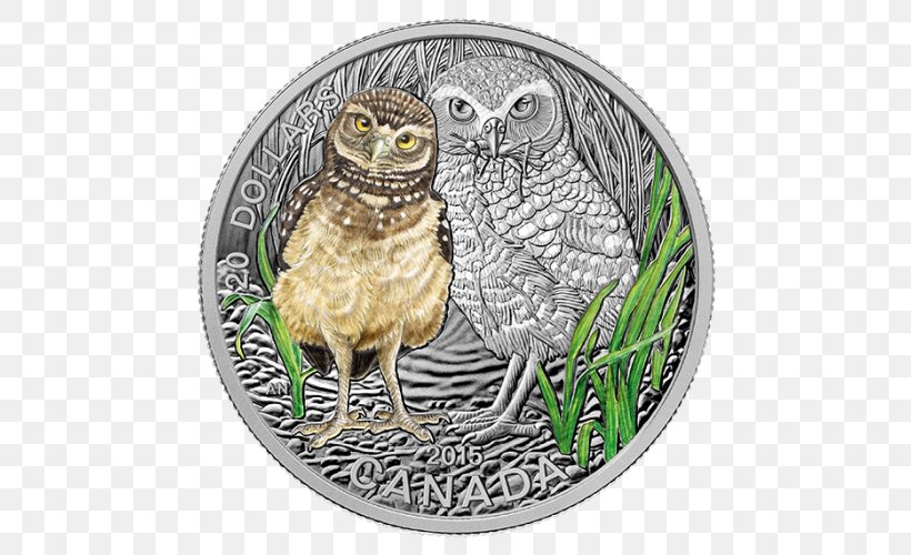 Canada Coin Royal Canadian Mint Silver, PNG, 500x500px, Canada, Animal, Beak, Bird, Bird Of Prey Download Free