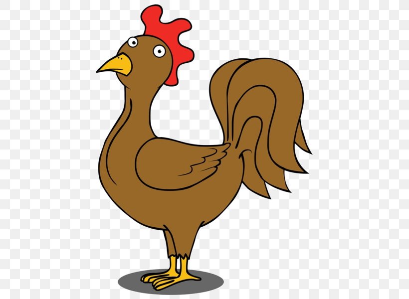 Chicken Rooster Cartoon Royalty-free, PNG, 463x600px, Chicken, Beak, Bird,  Cartoon, Drawing Download Free