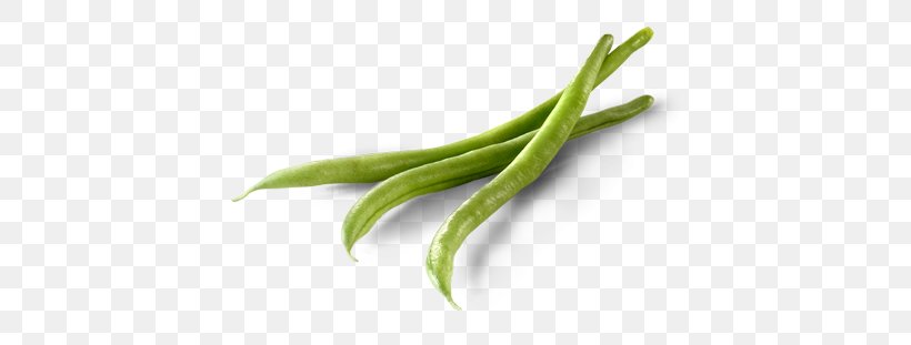 Green Bean Common Bean Lima Bean Side Dish, PNG, 450x311px, Green Bean, Bean, Broad Bean, Cayenne Pepper, Commodity Download Free
