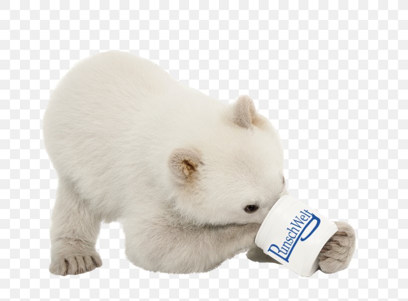 Polar Bear Puppy Stock Photography Dog, PNG, 793x605px, Polar Bear, Bear, Bears, Carnivoran, Dog Download Free