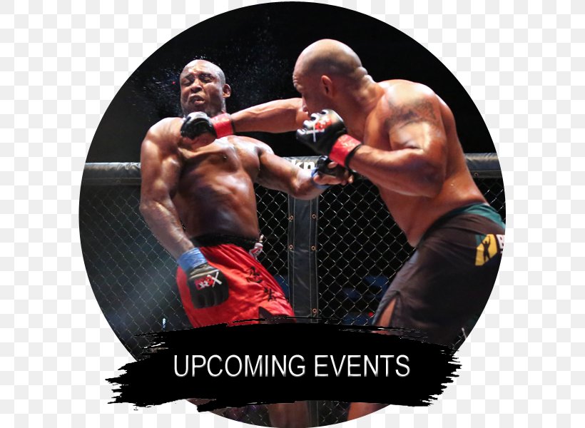 Professional Boxing Mixed Martial Arts Pradal Serey Boxing Glove, PNG, 600x600px, Professional Boxing, Aggression, Amateur Boxing, Arm, Bodybuilder Download Free