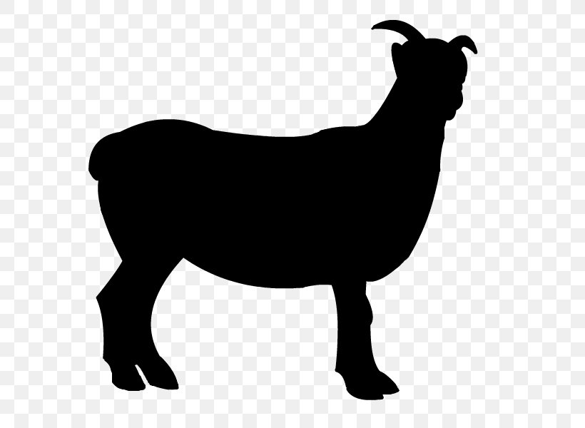 Sheep Boer Goat Clip Art, PNG, 800x600px, Sheep, Black, Black And White, Blog, Boer Goat Download Free
