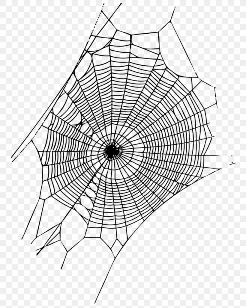 Spider Web, PNG, 2871x3600px, Spider Web, Area, Banco De Imagens, Black And White, Drawing Download Free