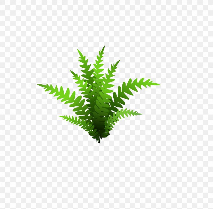 Drawing Plant Illustration, PNG, 1024x1003px, Drawing, Flowerpot, Grass, Green, Hemp Download Free