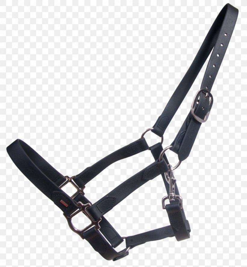 Icelandic Horse Foal Pony Halter Horse Tack, PNG, 1111x1200px, Icelandic Horse, Black, Bridle, Equestrian, Fashion Accessory Download Free