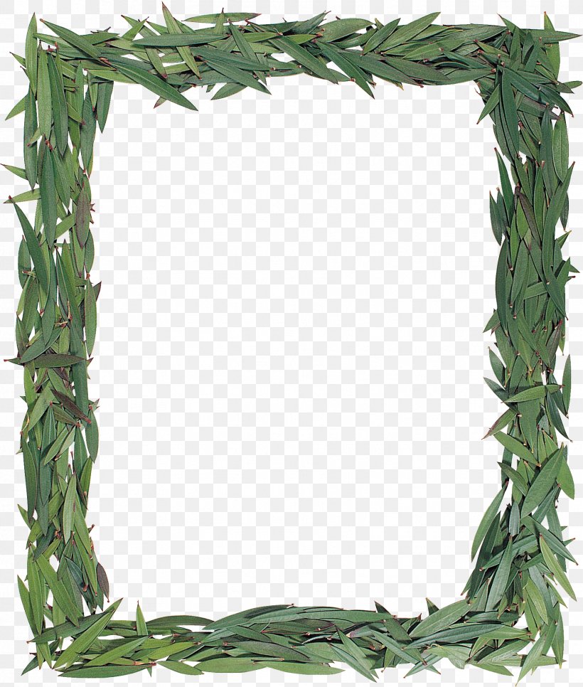 Picture Frames Clip Art, PNG, 1806x2128px, Picture Frames, Depositfiles, Flowerpot, Grass, Herb Download Free