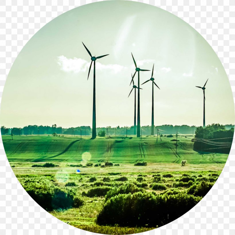 Wind Farm Renewable Energy Sustainability Business, PNG, 1024x1024px, Wind Farm, Business, Company, Ecosystem, Electricity Download Free