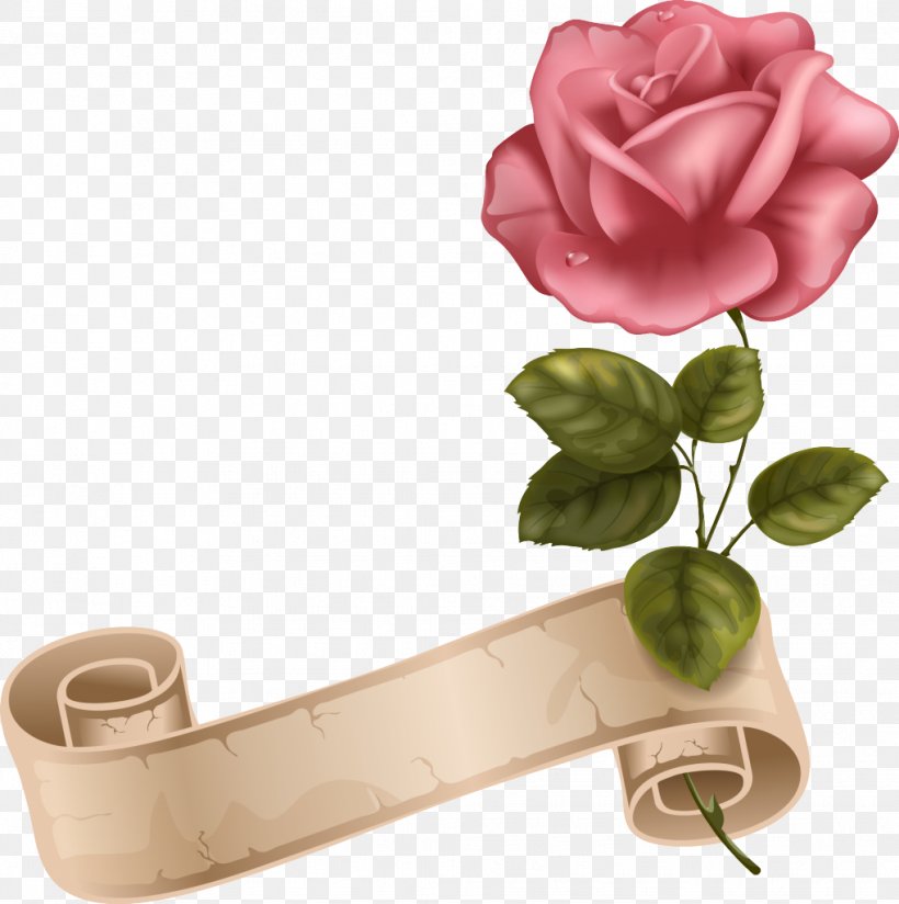 Beach Rose Color Clip Art, PNG, 1019x1024px, Beach Rose, Color, Cut Flowers, Floral Design, Flower Download Free
