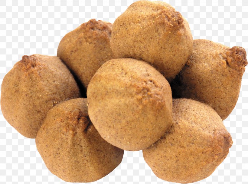 Fortune Cookie Biscotti Muffin Biscuits, PNG, 1600x1188px, Fortune Cookie, Arancini, Biscotti, Biscuit, Biscuits Download Free