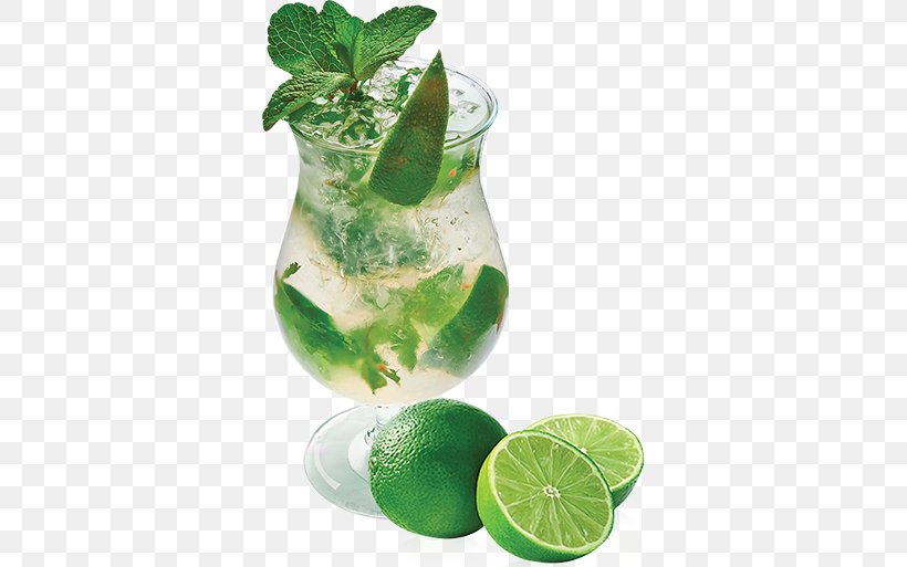 Mojito Cocktail Garnish Lemonade Gin And Tonic, PNG, 600x513px, Mojito, Caipirinha, Cocktail, Cocktail Garnish, Drink Download Free