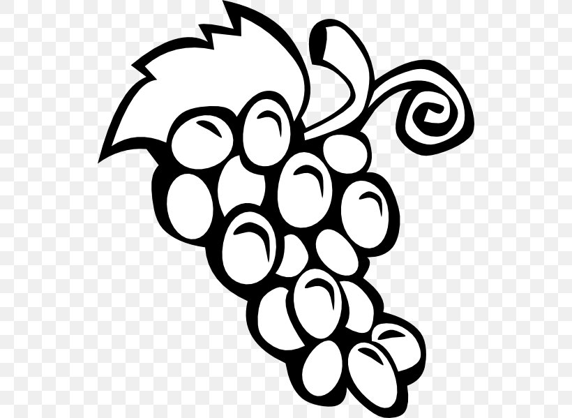 Common Grape Vine Wine Clip Art, PNG, 540x599px, Common Grape Vine, Black And White, Flora, Flower, Fruit Download Free