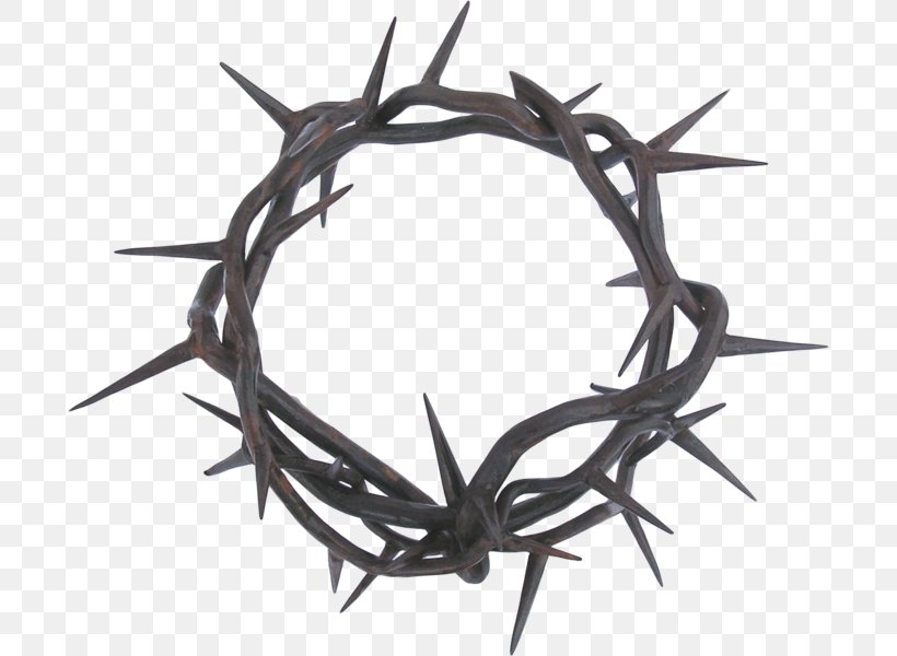 Crown Of Thorns Thorns, Spines, And Prickles Clip Art, PNG, 696x600px, Crown Of Thorns, Antler, Branch, Christian Cross, Cross And Crown Download Free