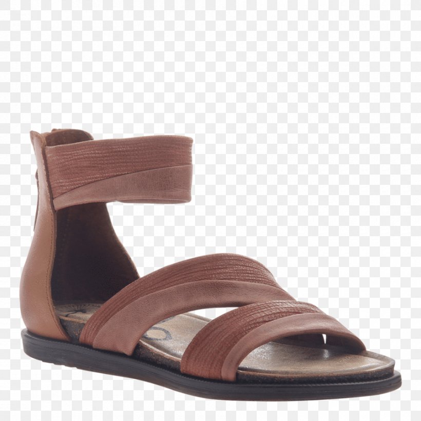 Sandal Slipper Shoe Boot Wedge, PNG, 900x900px, Sandal, Ballet Flat, Boot, Brown, Footwear Download Free