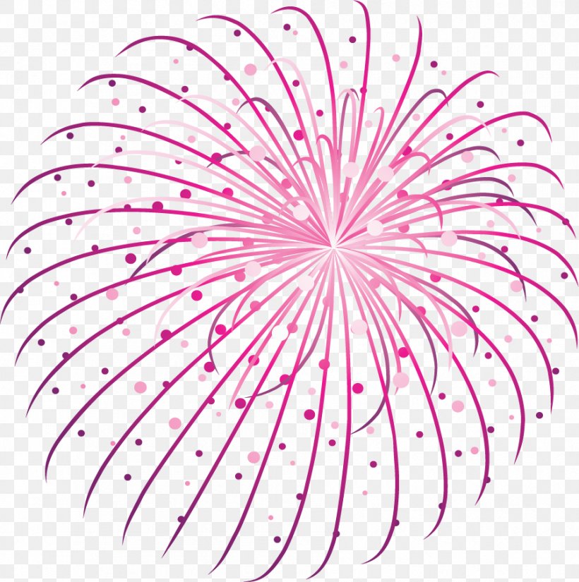 Fireworks Clip Art, PNG, 901x907px, Fireworks, Adobe Fireworks, Art, Flower, Flowering Plant Download Free