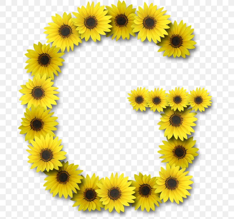 Letter Case Letter Case Alphabet G, PNG, 696x767px, Letter, Alphabet, Common Sunflower, Daisy Family, Flower Download Free
