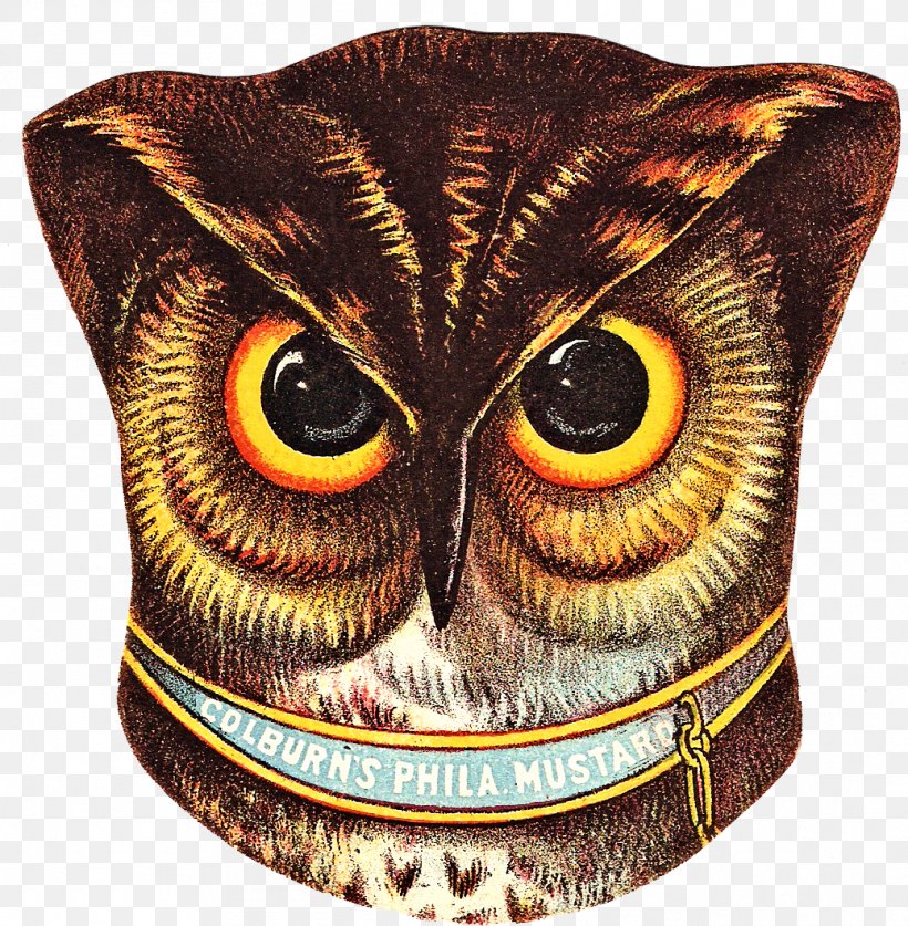 Owl Drawing Clip Art, PNG, 1038x1060px, Owl, Art, Beak, Bird Of Prey, Drawing Download Free