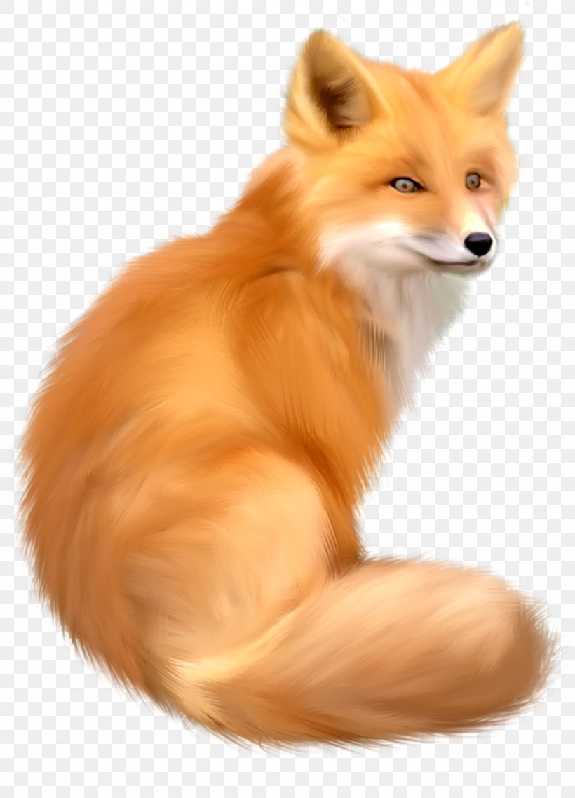 Red Fox Clip Art, PNG, 923x1280px, Fox, Canidae, Carnivoran, Companion Dog, Dog Breed Download Free