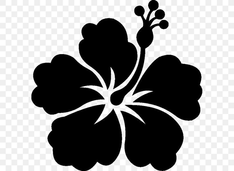 Shoeblackplant Flower Stencil Wall Decal Sticker, PNG, 600x600px, Shoeblackplant, Black, Black And White, Cut Flowers, Decal Download Free