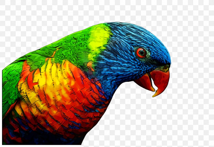 Bird Parrot, PNG, 2408x1660px, Macaw, Beak, Bird, Closeup, Fauna Download Free