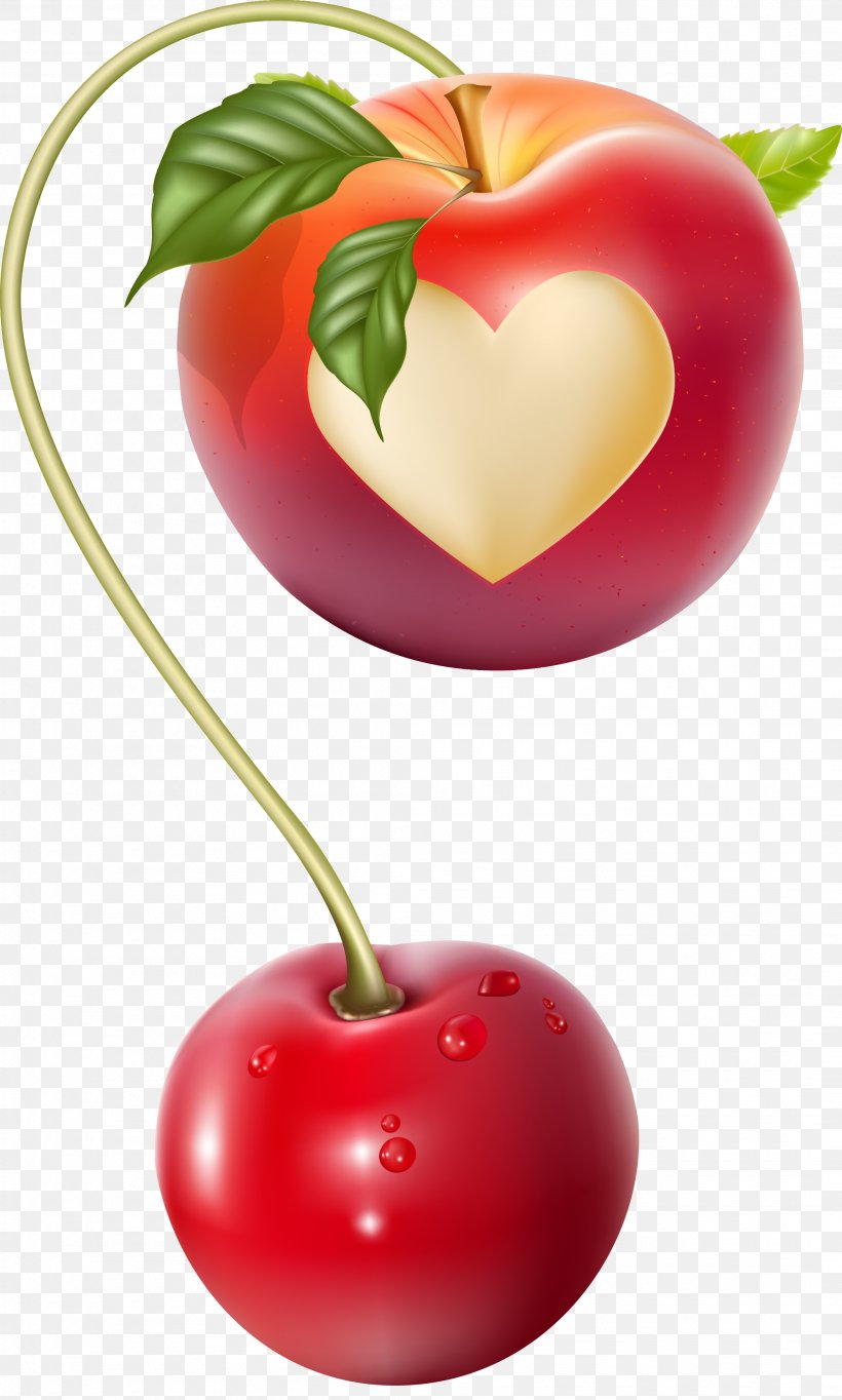 Cherry, PNG, 2105x3503px, Cherry, Acerola, Acerola Family, Apple, Diet Food Download Free