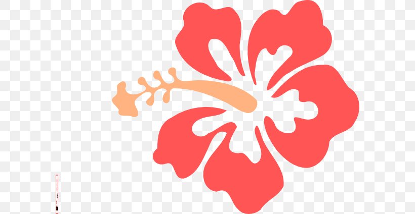 Hibiscus Schizopetalus Drawing Clip Art, PNG, 600x424px, Hibiscus Schizopetalus, Alyogyne Huegelii, Drawing, Flora, Floral Design Download Free