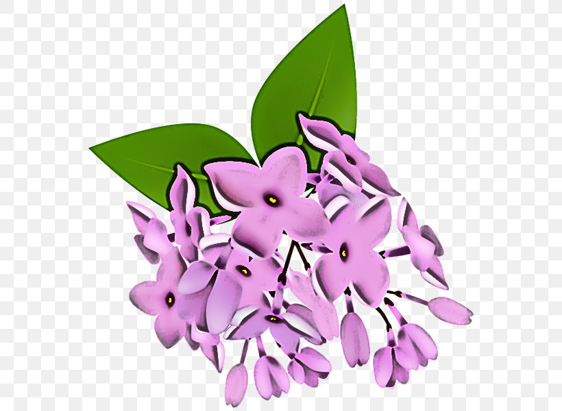 Lilac Flower Violet Purple Plant, PNG, 572x600px, Lilac, Cattleya, Daphne, Dendrobium, Flower Download Free