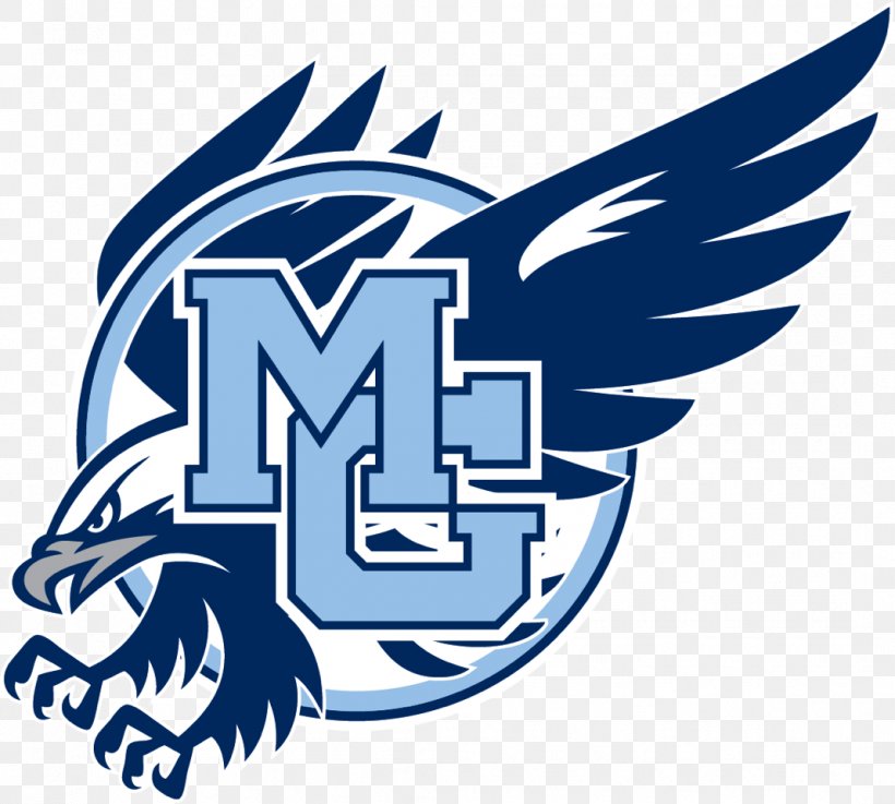 Monona Grove High School Waukesha West High School American Silver Eagle Varsity Team, PNG, 1068x960px, Monona Grove High School, American Football, American Silver Eagle, Area, Artwork Download Free