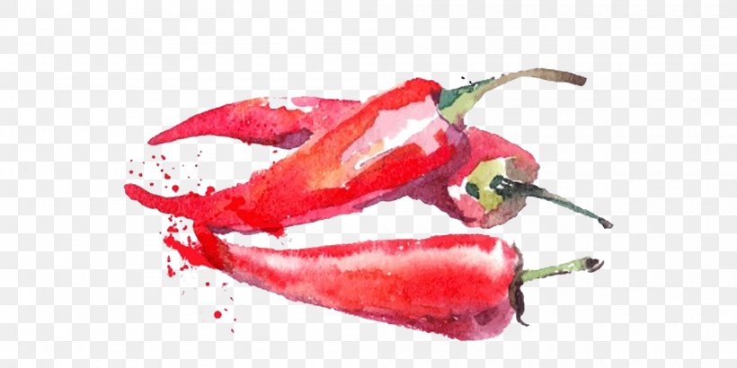 Watercolor Painting Vegetable Fruit Illustration, PNG, 2000x1000px, Watercolor Painting, Art, Bell Peppers And Chili Peppers, Cayenne Pepper, Chili Pepper Download Free
