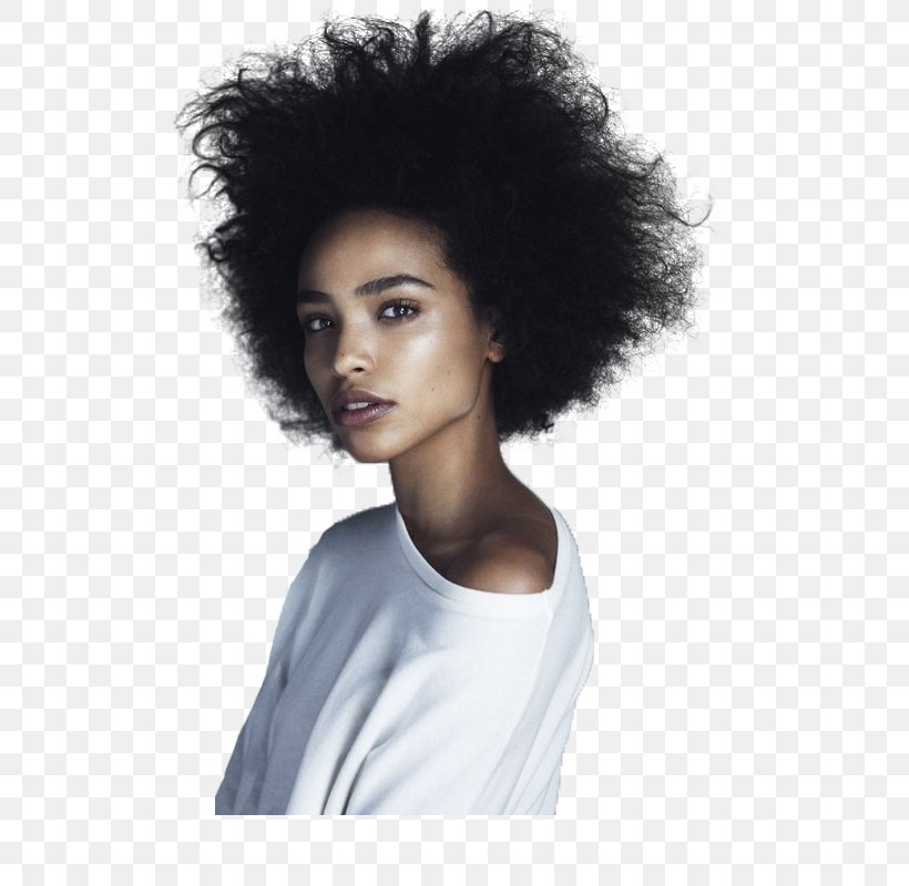 Afro Black African American Female Woman, PNG, 512x800px, Afro, African American, Afrotextured Hair, Artificial Hair Integrations, Beauty Download Free