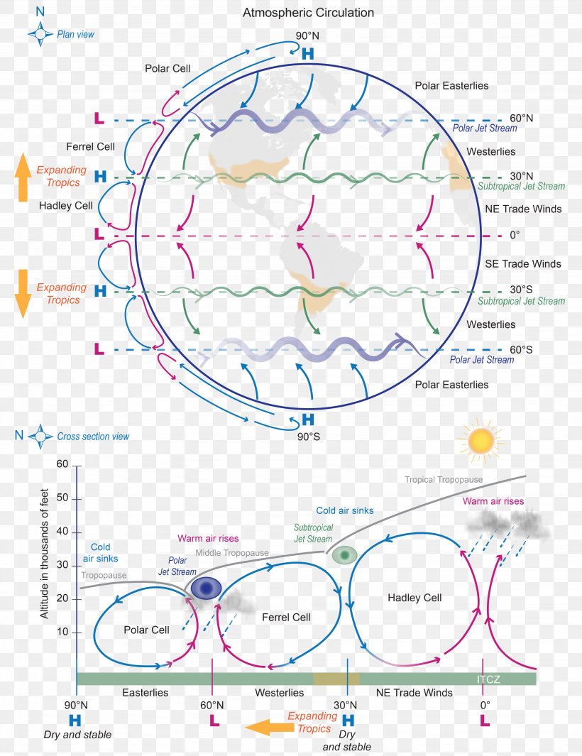 Atmospheric Circulation Diagram Global Warming Hadley Cell Climate, PNG, 4096x5321px, Watercolor, Cartoon, Flower, Frame, Heart Download Free