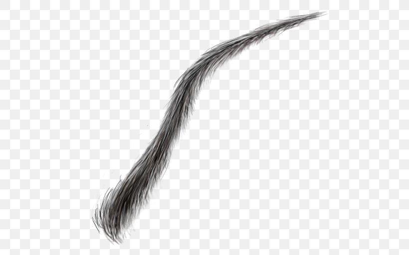 Eyebrow Hair Image File Formats, PNG, 512x512px, Eyebrow, Black And White, Digital Media, Eye, Eyelash Download Free