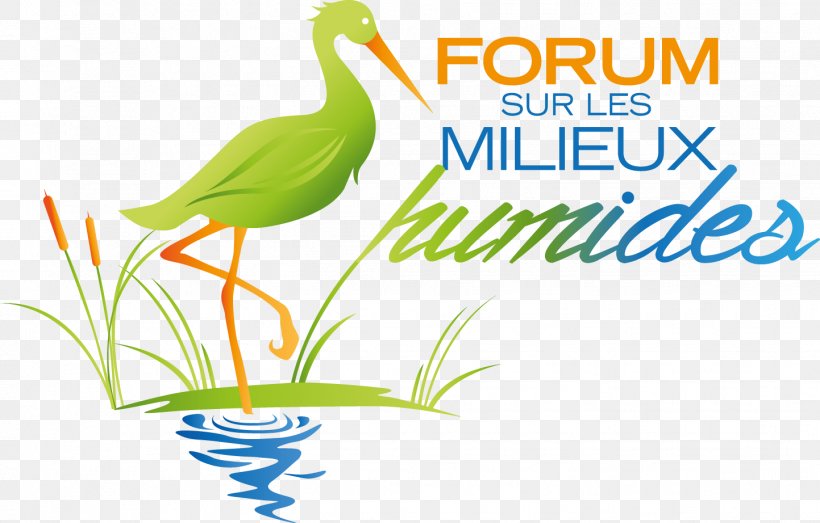 Les Milieux Humides Wetland Logo Graphic Design Brand, PNG, 1443x922px, Wetland, Area, Artwork, Beak, Bird Download Free