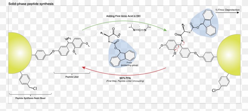 Peptide Synthesis Solid-phase Synthesis Merrifield-Synthese Chemical Synthesis, PNG, 1280x573px, Watercolor, Cartoon, Flower, Frame, Heart Download Free