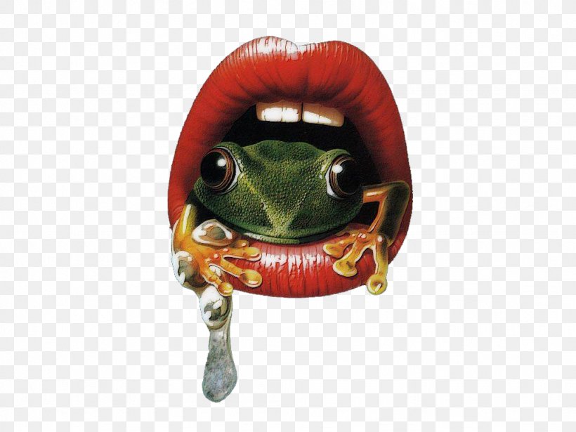 T-shirt Amphibians Frog Mouth Clothing, PNG, 1024x768px, Tshirt, Amphibian, Amphibians, Baby Toddler Onepieces, Bluza Download Free