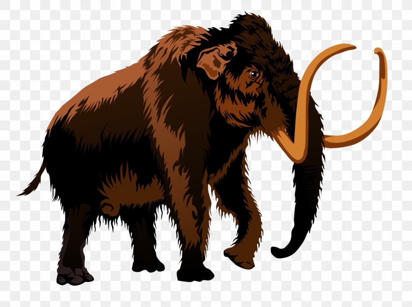 Woolly Mammoth Triceratops Free Content Clip Art, PNG, 1378x1030px, Woolly Mammoth, African Elephant, Blog, Cattle Like Mammal, Dinosaur Download Free