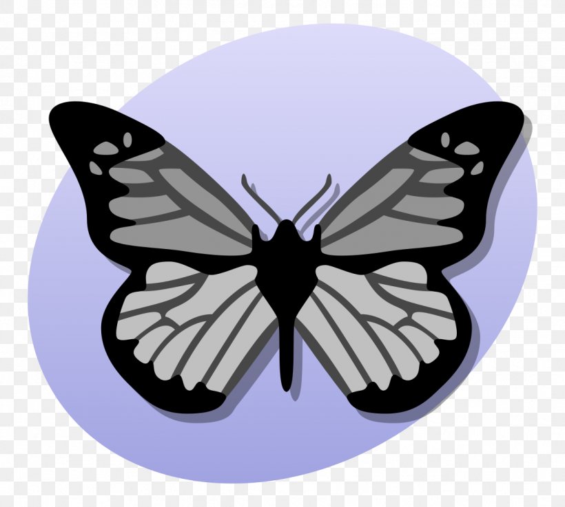 Biology GNU Free Documentation License, PNG, 1138x1024px, Biology, Animal Physiology, Brush Footed Butterfly, Butterfly, Dimension Download Free